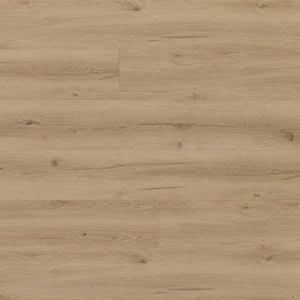 Vinylboden Sheets Eiche NEW Achat