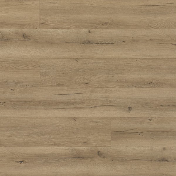 Vinylboden SPC-Hybrid 55 Klick Eiche Spinell